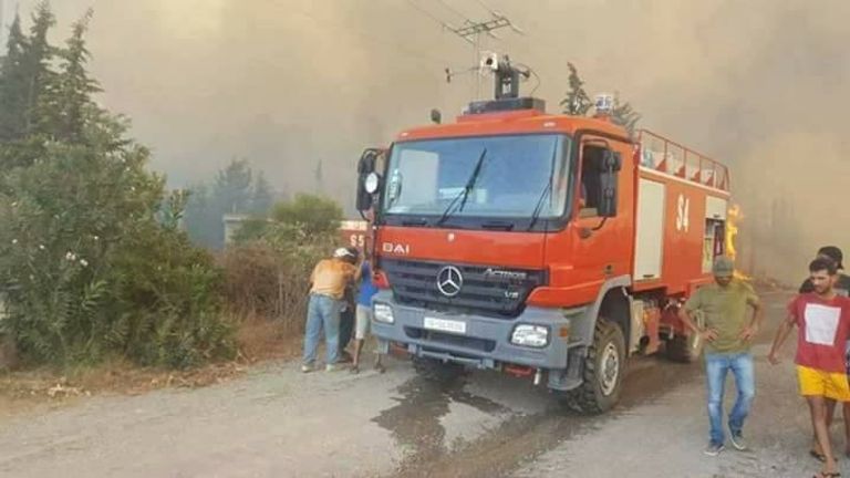 حرائق الغابات في شمال تونس