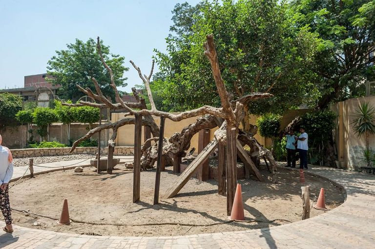 خلال نقل عمود مرنبتاح أحد أشهر معالم مدينة المطرية الأثرية