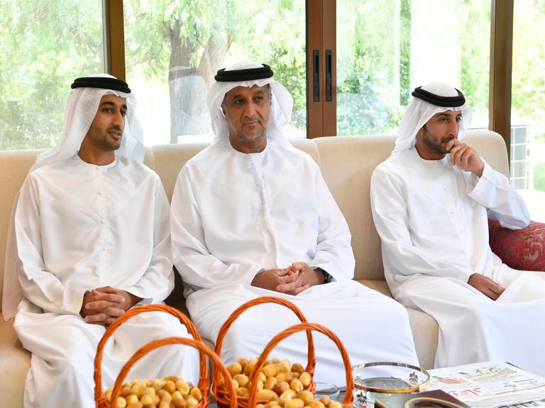 محمد بن راشد ومحمد بن زايد يبحثان عددا من القضايا الوطنية 