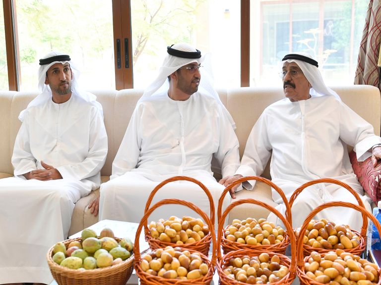 محمد بن راشد ومحمد بن زايد يبحثان عددا من القضايا الوطنية 
