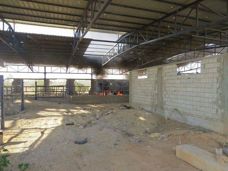 جانب من ضربات الجيش المصري للإرهاب في سيناء