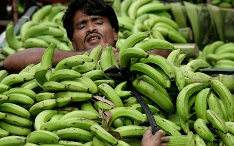 كميات الطعام قد تجعله ساما