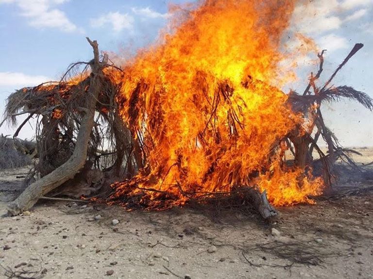 الإرهابي المقبوض عليه في عملية للجيش المصري بوسط سيناء