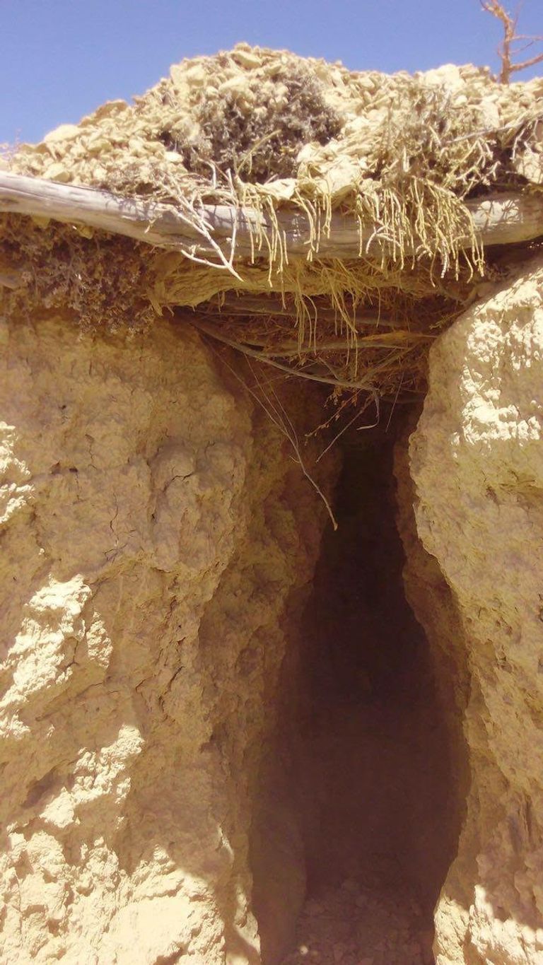 الإرهابي المقبوض عليه في عملية للجيش المصري بوسط سيناء