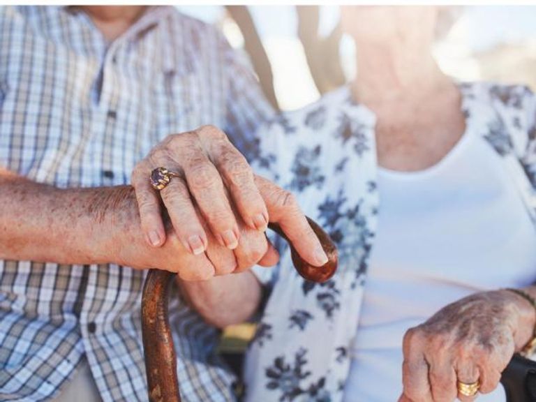 الزوجان الهولنديان في أيامهما الأخيرة