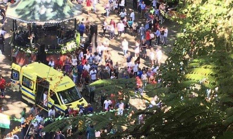 شجرة تقتل 12 شخصا بالبرتغال