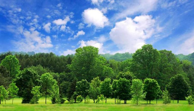 باكستان تحد من الاحتباس الحراري بـ"تسونامي المليار شجرة"