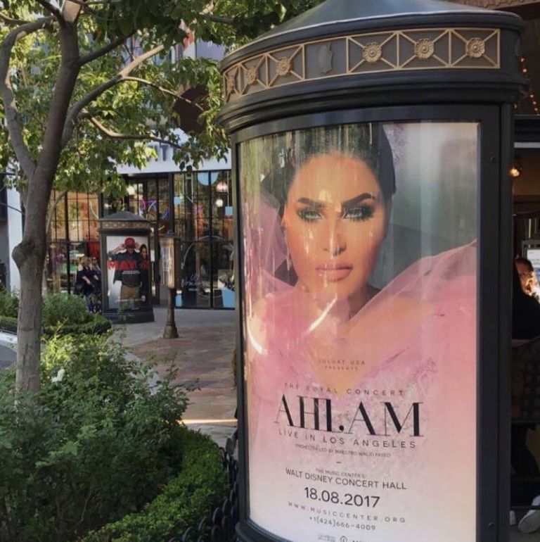 الفنانة أحلام