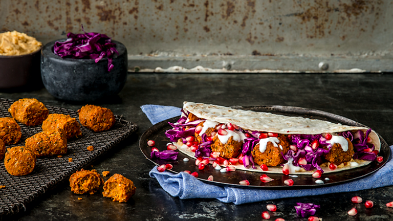 الحشرات غذاء المستقبل في أوروبا