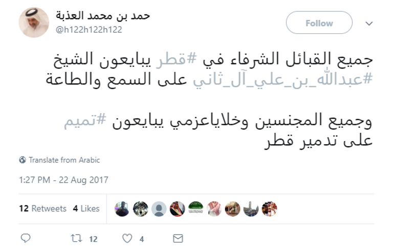 تميم بن حمد آل ثاني أمير قطر