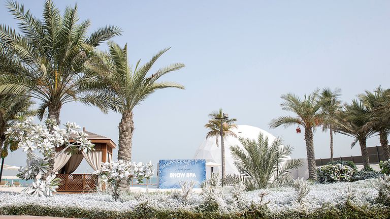 فعاليات دبي آيس