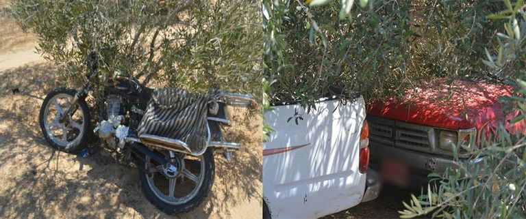 الجيش المصري يضبط عبوات ناسفة شمال سيناء