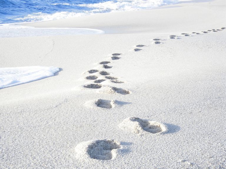 الغرامات المفروضة تصل إلى 3 آلاف يورو