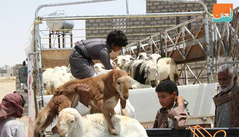 تنفيذ وصية زايد في مأرب اليمنية