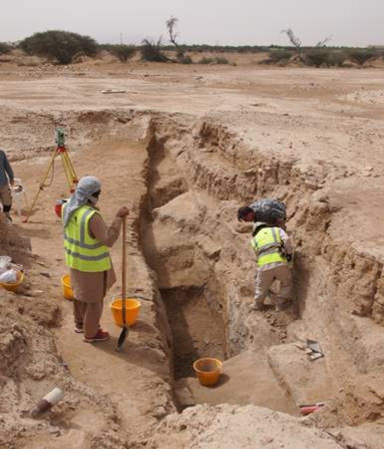 يقع الموقع قرب 