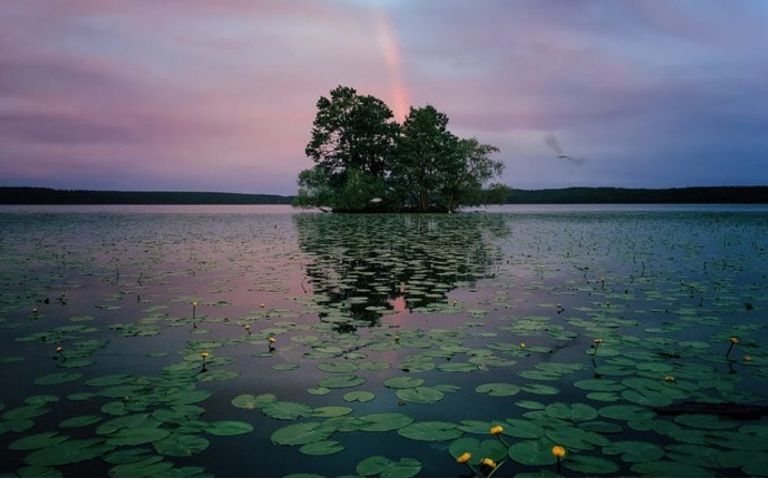 أحد اللقطات الفائزة