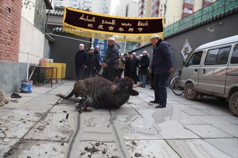 استعداد مسلمي الصين لعيد الأضحى المبارك