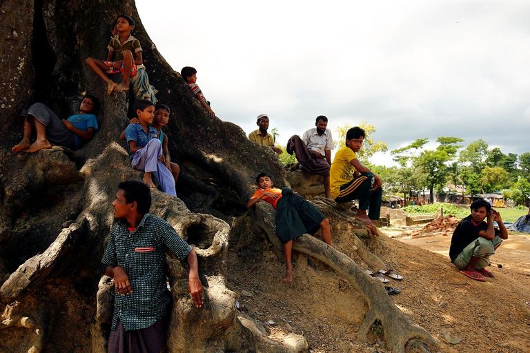 لاجئة من الروهينغا على حدود بنجلاديش