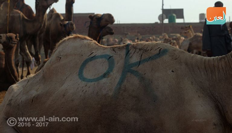 المزاد العلني بسوق