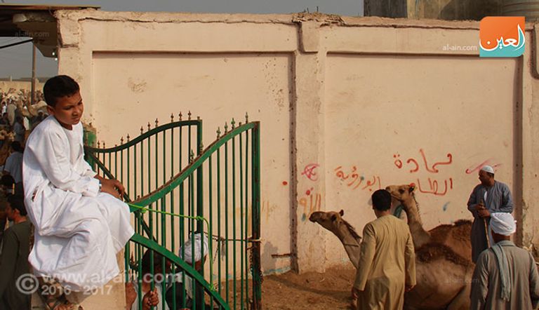 المزاد العلني بسوق