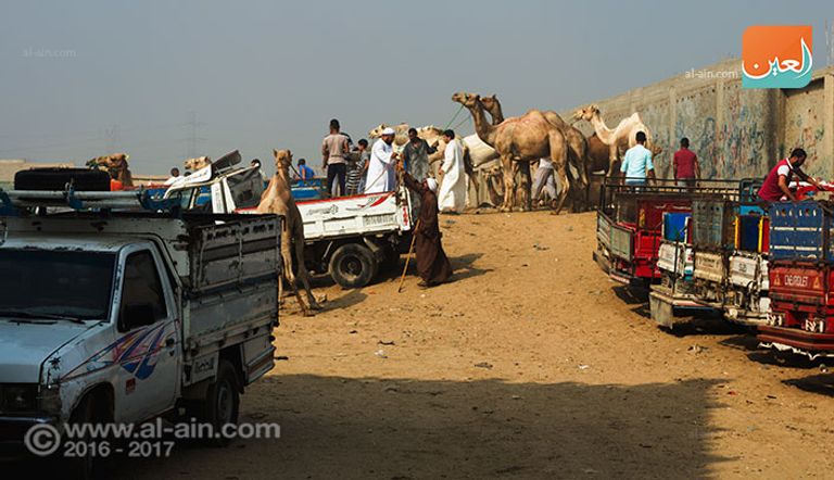 المزاد العلني بسوق