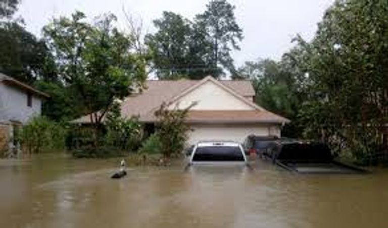 خسائر إعصار "هارفي"