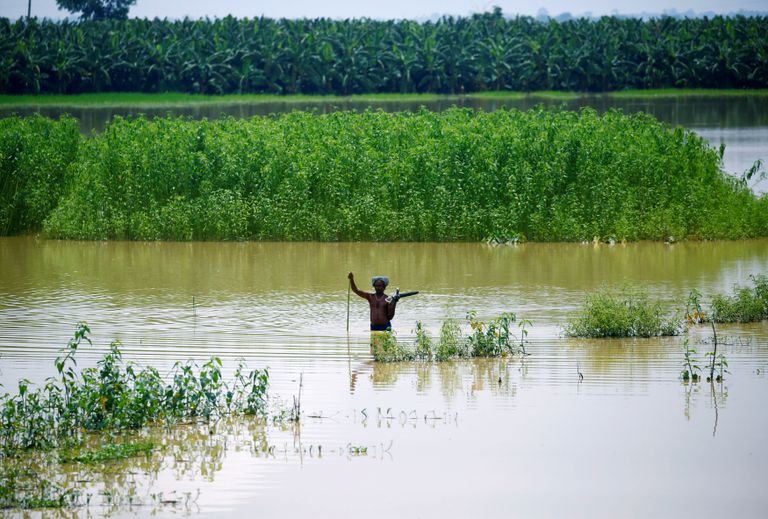 الفيضانات تغرق نيبال