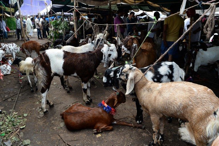 سوق للماشية والماعز بأشكال مميزة في اليمن (أ.ف.ب)