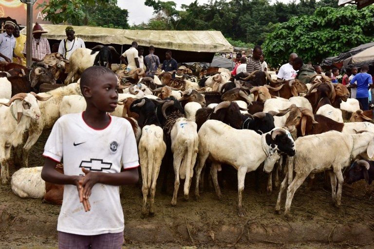 سوق للماشية والماعز بأشكال مميزة في اليمن (أ.ف.ب)