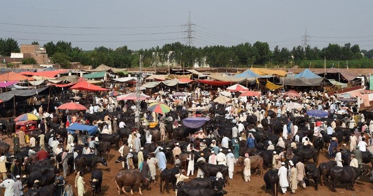 سوق للماشية والماعز بأشكال مميزة في اليمن (أ.ف.ب)