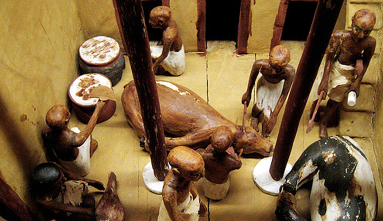 زفة الأضحية عادة مصرية قديمة