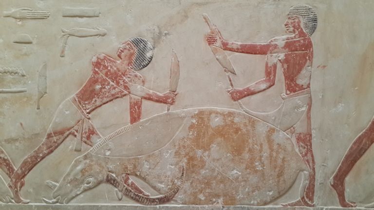 زفة الأضحية عادة مصرية قديمة