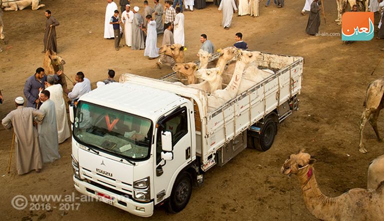 المزاد العلني بسوق