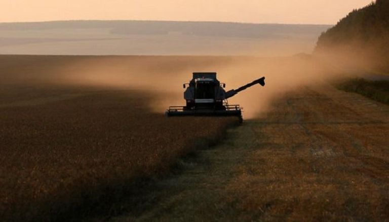 حصاد القمح في حقل روسي- رويترز