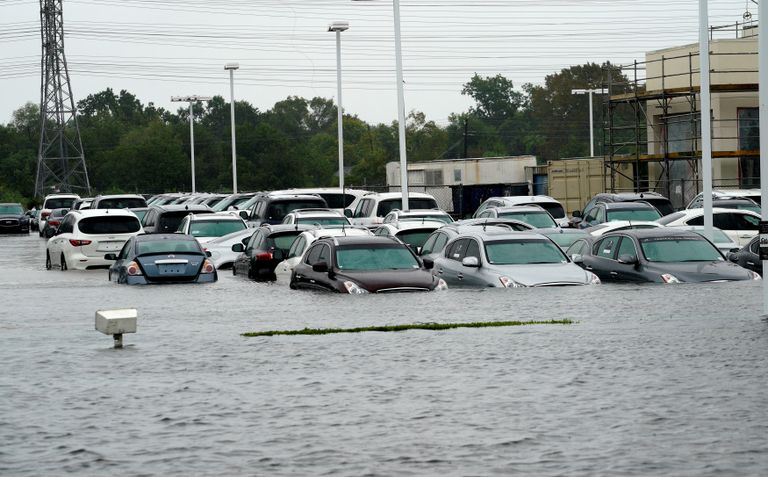 كوليت سولكر 