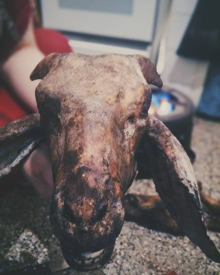 "البَكْبُوكة" "العُصْبان" "البولْفَافْ" أكلات الجزائريين في عيد الأضحى