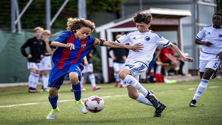 مينو رايولا