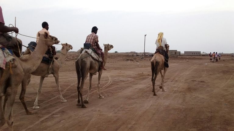 مهرجان ترفيهي بعنوان "عيدكم مخا"