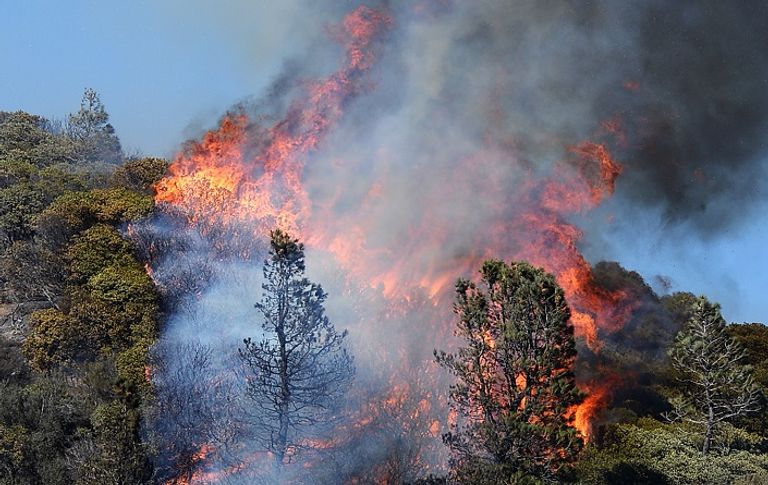 رجال الإطفاء خلال محاولة السيطرة على الحريق - أ. ف. ب