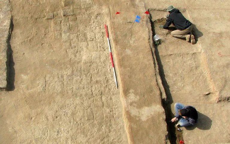 مملكة أرض البحر "سيلاند" ازدهرت في الأهوار العراقية