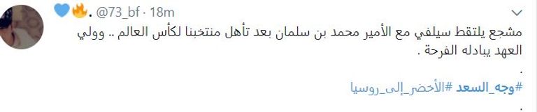 ولي العهد السعودي الأمير محمد بن سلمان 