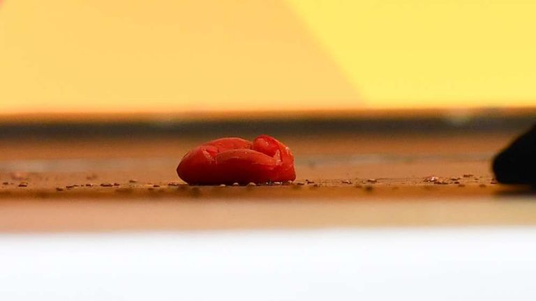 المستشارة الألمانية أنجيلا ميركل