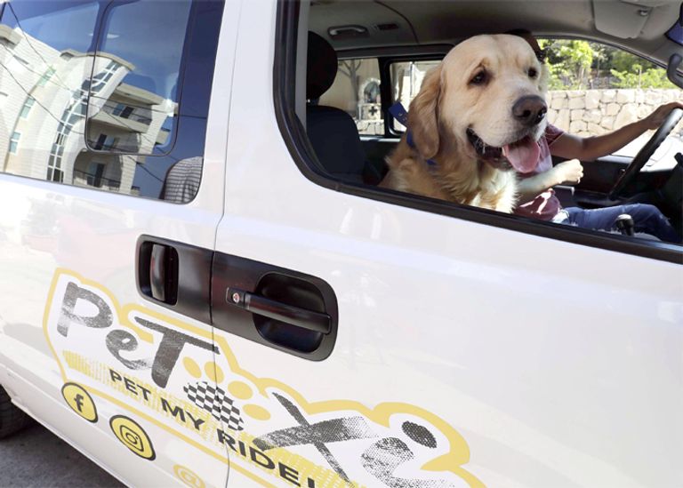 خدمة لنقل الحيوانات الأليفة في لبنان