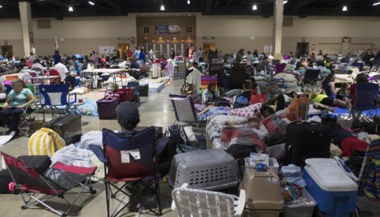 الهروب الكبير لسكان فلوريدا