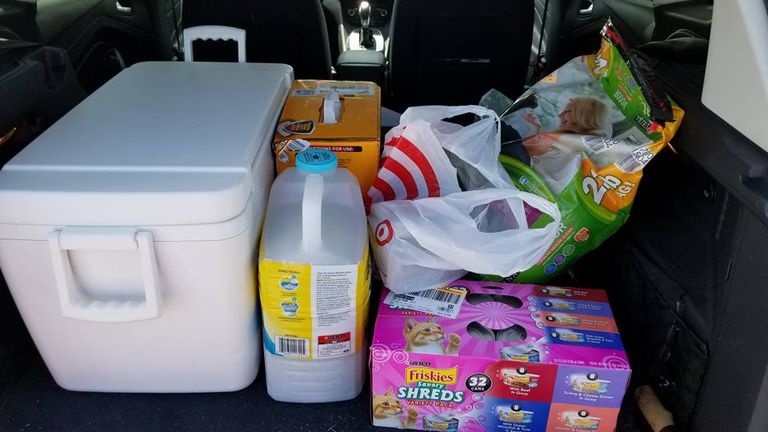 استعدادات فلوريدا لإرما