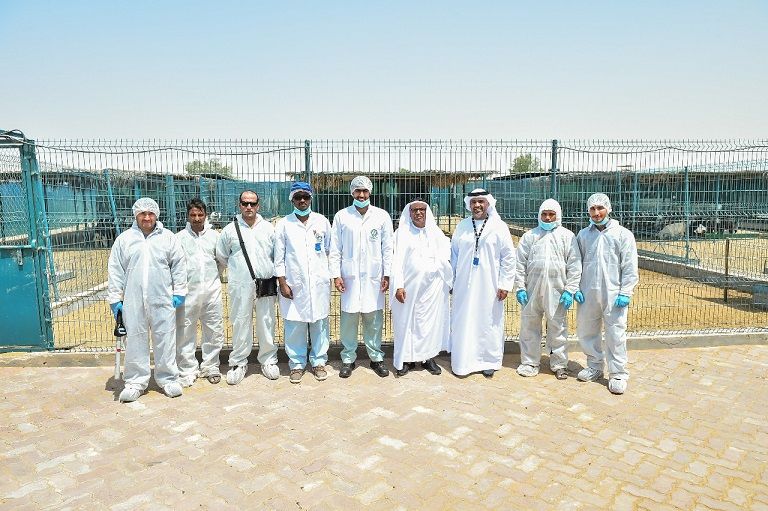 أبوظبي للرقابة الغذائية يطلق حملة التحصين 9 ضد أمراض الثروة الحيوانية