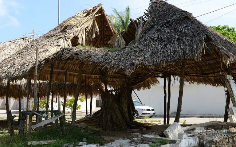 جانب من زلزال المكسيك