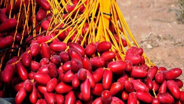 رأس السنة المصرية.. قصة أقدم تقويم في العالم - صورة 2