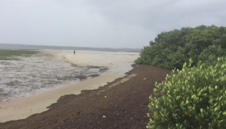 بعد "إرما" الحياة تعود تدريجيا إلى فلوريدا