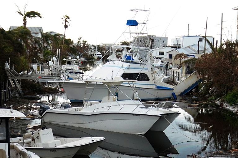 فلوريدا ما زالت تكافح آثار دمار إرما - رويترز